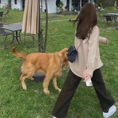 伏虎武松